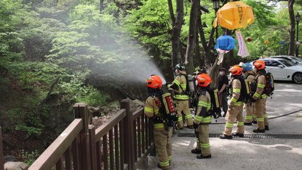 [서울] 서울소방본부 '부처님오신날' 사찰 화재예방 특별대책 / YTN