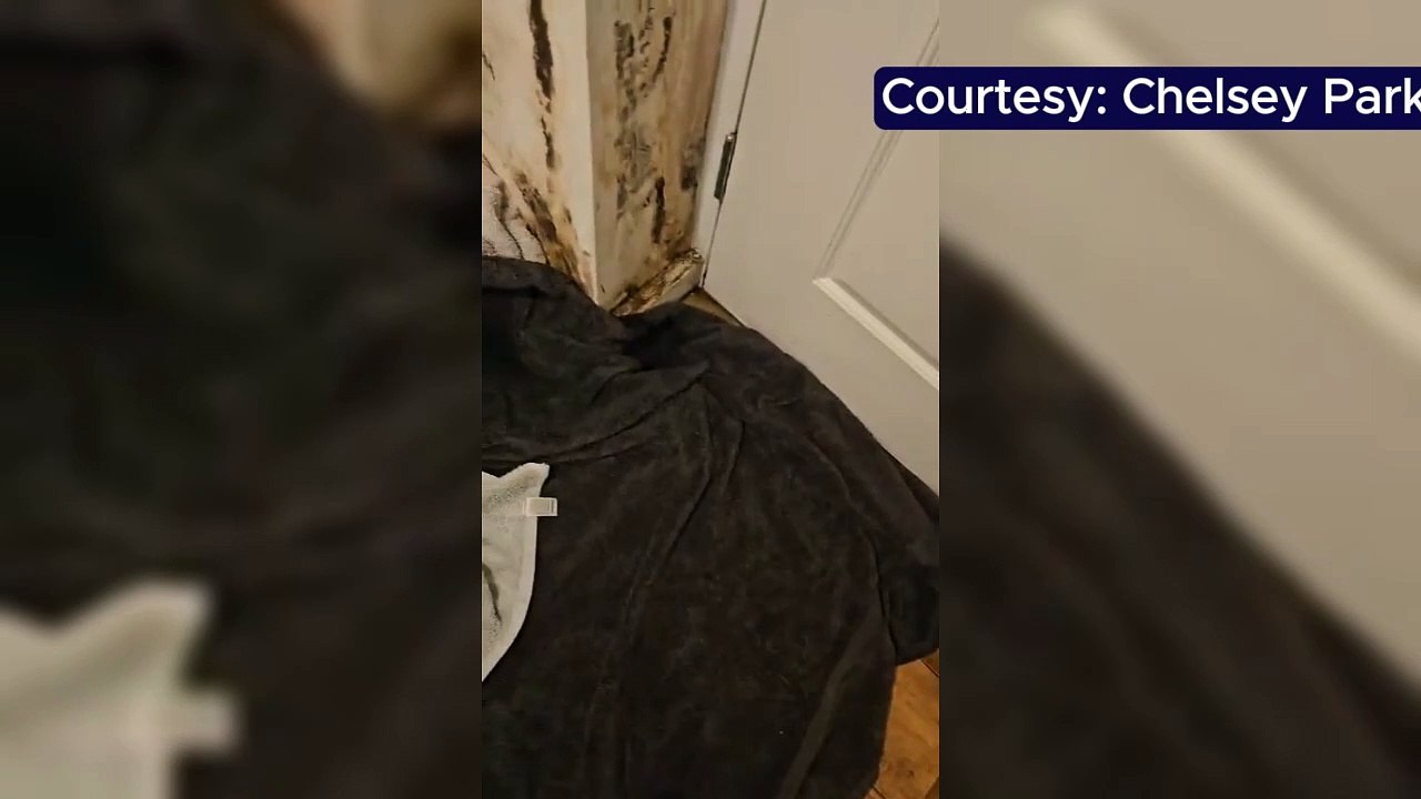 Mum-of-two ‘living in a nightmare’ after four year leak at property