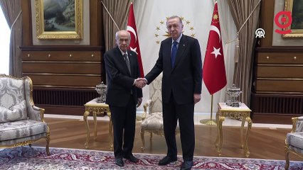 Erdoğan, Bahçeli'yi kabul etti: Masada neler var?