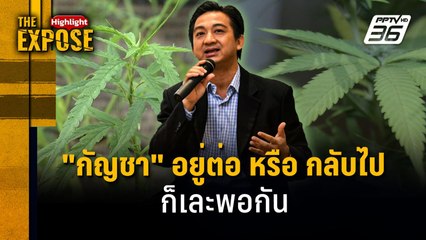"กัญชา" อยู่ต่อหรือกลับไปก็เละพอกัน | The Expose Highlight