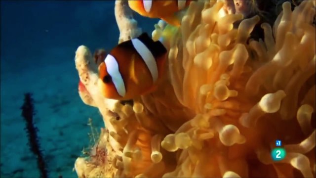 Tierra de Catástrofes: Comprendiendo Terremotos y Tsunamis