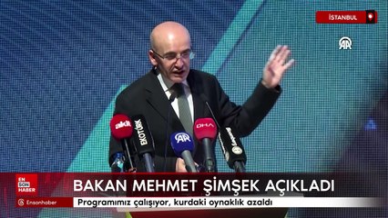 Mehmet Şimşek: Programımız çalışıyor, kurdaki oynaklık azaldı