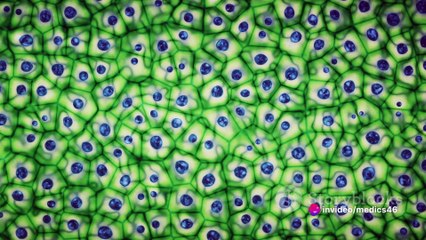 New techniques that can cure wound repeadly.