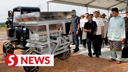 Plantation sector needs to increase use of technology, urges PM