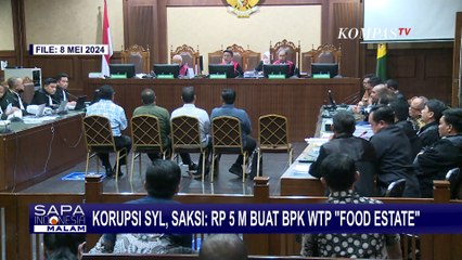 Kasus Korupsi SYL, Saksi: BPK Minta Uang ke Kementan untuk Masalah Food Estate