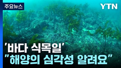 '오염'과 '고온'에 신음하는 바다...바다에도 식목일이? / YTN