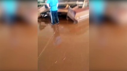 Moradores de Taquari, RS, encontram boi dentro de igreja após enchente