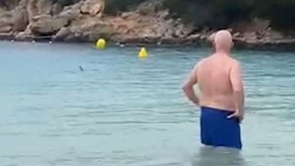Brits ordered out of sea after shark "circled" families in Menorca