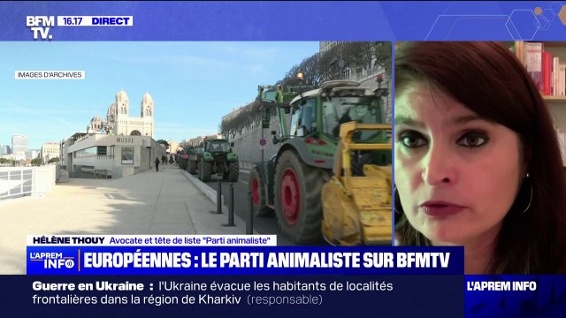 Aucun parti n'est à la hauteur de l'urgence qu'il y a à défendre les animaux : Hélène Thouy, avocate et tête de liste du Parti animaliste aux Européennes était en direct sur BFMTV