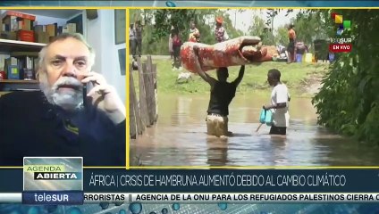 Calvo: Grupos terroristas saquean su cosecha y hurtan su ganado