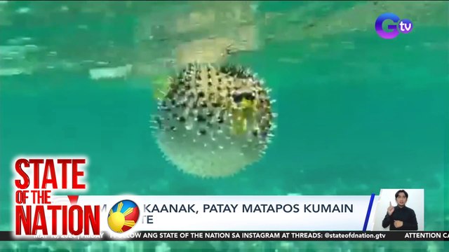 3 magkakaanak, patay matapos kumain ng butete | SONA