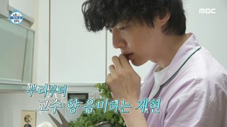 [HOT] Ahn Jae Hyun's love of cilantro that he savors from the roots , 나 혼자 산다 240510