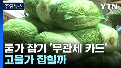 '양배추·김' 무관세·오징어 비축물량 방출...고물가 잡힐까 / YTN