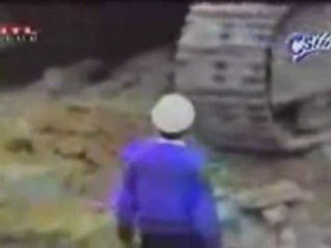 quand les chiens et les hommes sont ding