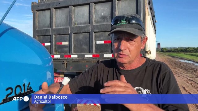 Inundações afetam produtores de arroz no Sul do Brasil