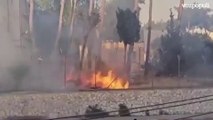 Ciudadanos israelíes atacan e incendian el edificio de la ONU de Jerusalén