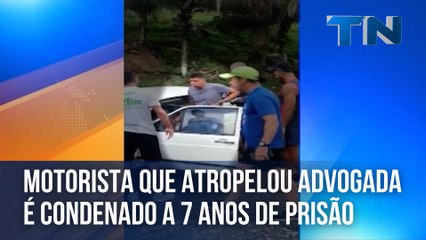 Motorista que atropelou advogada é condenado a 7 anos de prisão