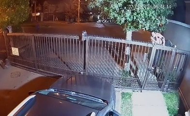 Captan a mujer intentando robar casa