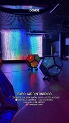 Exposición inmersiva Jardín Onírico en el CCD