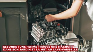 Essonne : une femme trouve une mâchoire dans son jardin et la met au lave-vaisselle