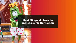 Mask Singer 6 : Tous les indices sur le Cornichon