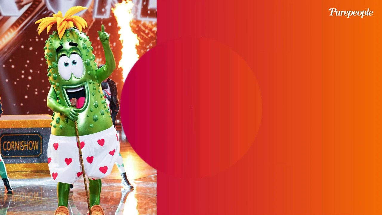 Mask Singer 6 - Le Cornichon démasqué, les enquêteurs complètement largués : "On a rien compris aux indices..."