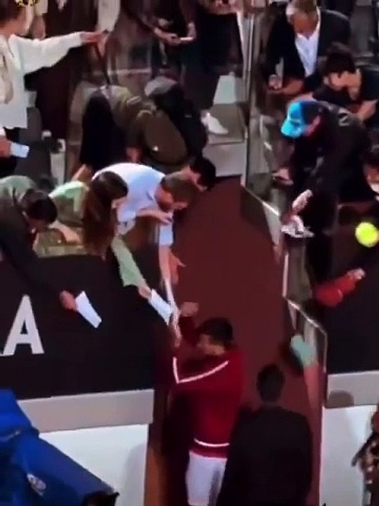 Djokovic cae al suelo tras sufrir un golpe en la cabeza con la botella de un aficionado