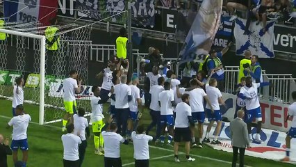 irréductibles AUXERROIS