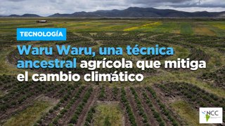 Waru Waru, una técnica ancestral agrícola que mitiga el cambio climático