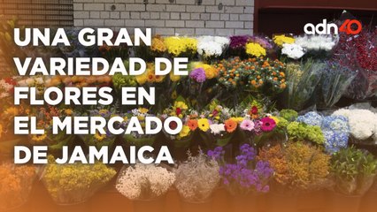 En el Mercado de Jamaica encontrarán una gran variedad de flores con precios para todos
