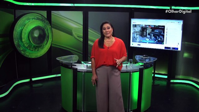 Buraco na camada de ozônio coloca vida selvagem antártica em risco