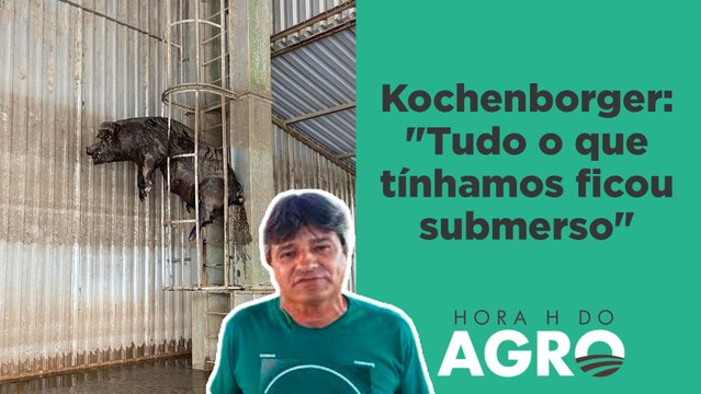 Cenário no RS: animais mortos, soja úmida, armazéns inundados e arroz levado com a água