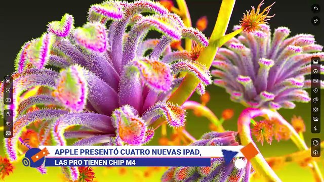 Publireportaje Tectoc - 100524