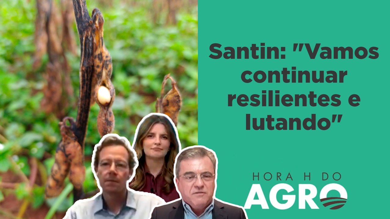 Preços do arroz e carnes vão aumentar? Entenda o risco de desabastecimento! | HORA H | HORA H