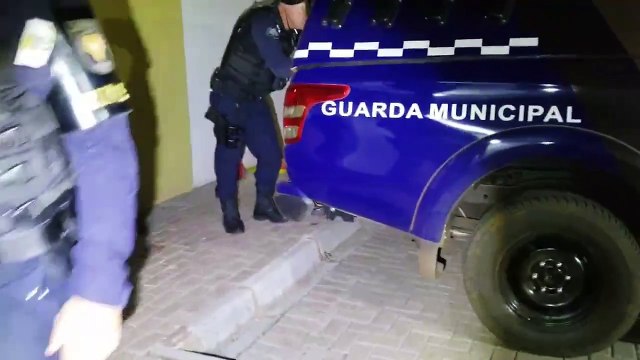 Maria da Penha: homem é preso pela GM por violência doméstica