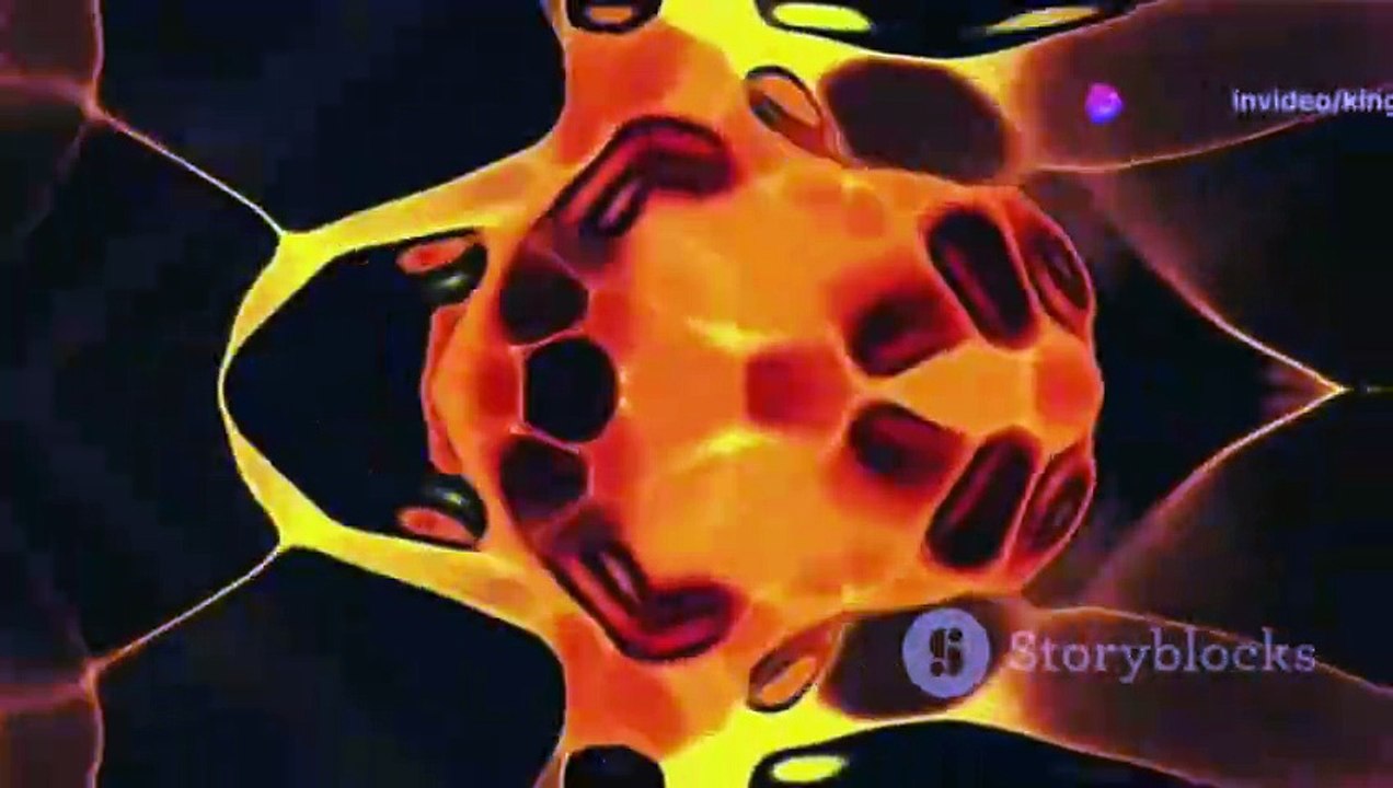 The Art of Video Creation