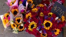 Aumenta la demanda en florerías de Monclova ante la proximidad del Día de las Madres  _ NRT noticias