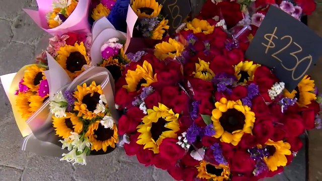 Aumenta la demanda en florerías de Monclova ante la proximidad del Día de las Madres _ NRT noticias