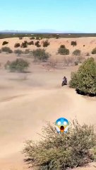 Zindagi Dene Wale Sunn Song With Beautiful Video