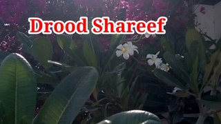 Drood Shareef | Tilawat quran | Beautiful voice | Learn Quran