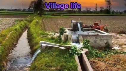 Beautiful image story of village life | image collection 27
