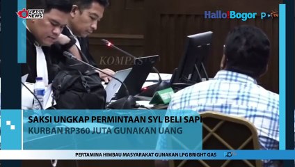 Diungkap Saksi, Skandal SYL: Sapi Kurban Rp360 Juta, Uang Kementan Digunakan?