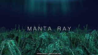 Manta Ray – Breaking the UUV mold