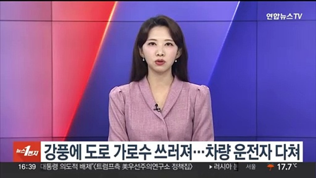 강풍에 도로 가로수 쓰러져…차량 운전자 다쳐