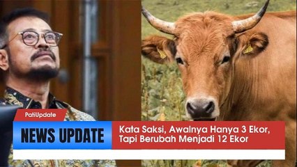 Saksi Ungkap Dugaan Gratifikasi SYL yang Beli Sapi Kurban Rp360 Juta Gunakan Uang Kementerian Pertanian