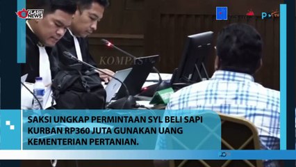 Saksi Ungkap SYL Beli Sapi Qurban Rp 360 Juta Gunakan Uang Kementrian Pertanian