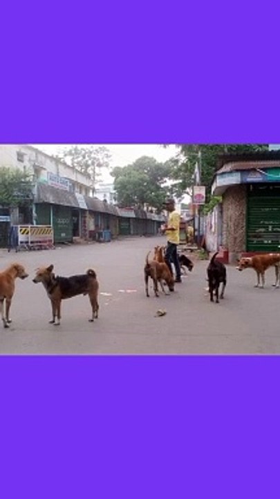 আমার ভালোবাসা।