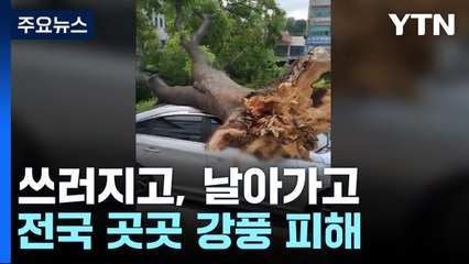 강풍에 쓰러지고, 날아가고...차량 돌진 사고도 / YTN