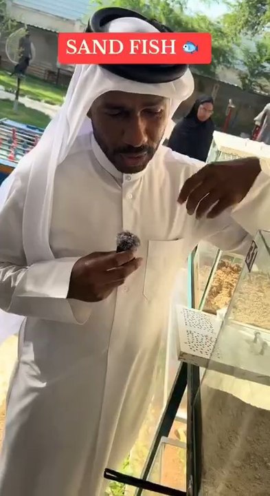 Le "Poisson du désert" « Voici ce qu’on appelle le "poisson du désert".Il vit seulement dans le sable."