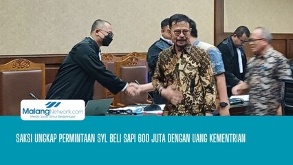 Saksi Ungkap Permintaan Syl Beli Sapi Seharga 600 juta Dengan Uang Kementrian